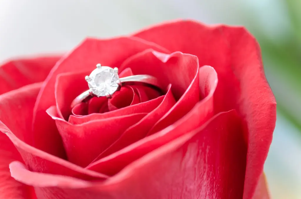 ダイヤモンド,婚約指輪,エンゲージリング