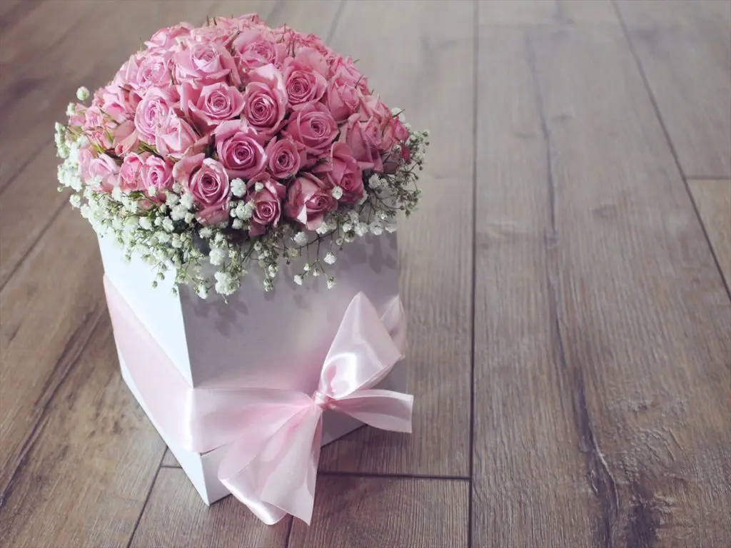 ピンクローズ,花,かわいい
